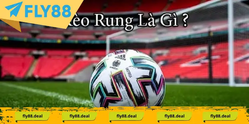 Định nghĩa chi tiết về kèo rung Định nghĩa chi tiết về kèo rung